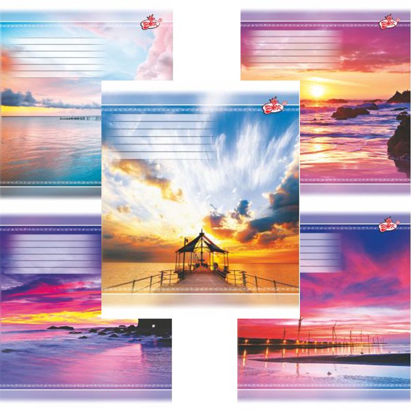 Зошит учнівський 48 л. кл. , цв. обл. без ПДВ