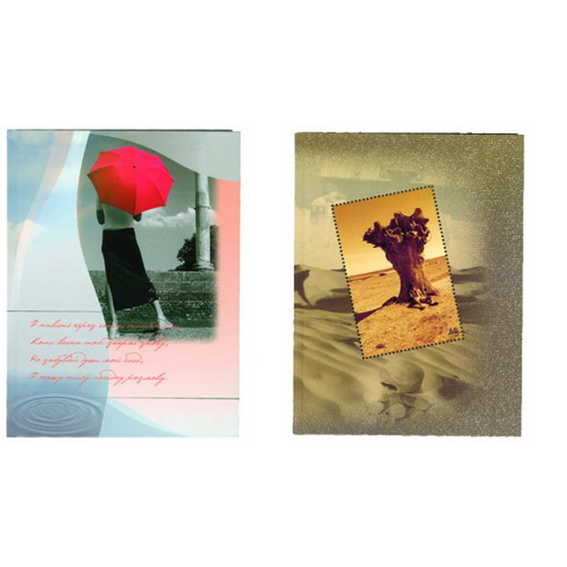 Книга обліку А5 72ар, клітинка, тв. обкладинка, лам