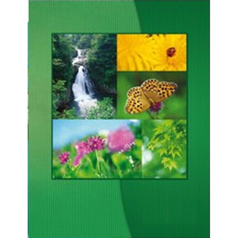 Книга обліку А4 96ар, клітинка, м'яка обкладинка