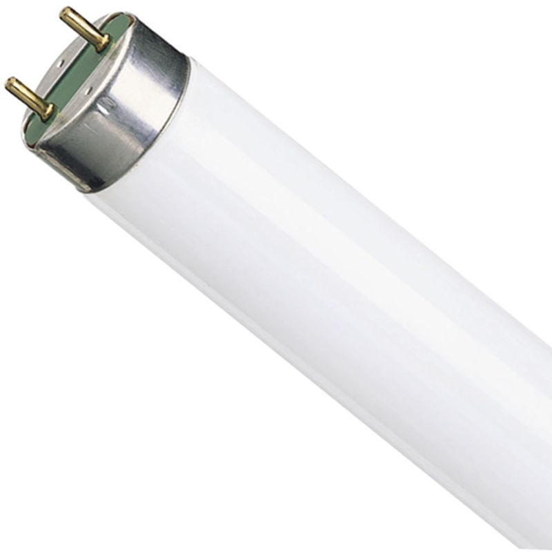 Лампа люмін. Dulux 36W/T8/54 120см, G13 білий