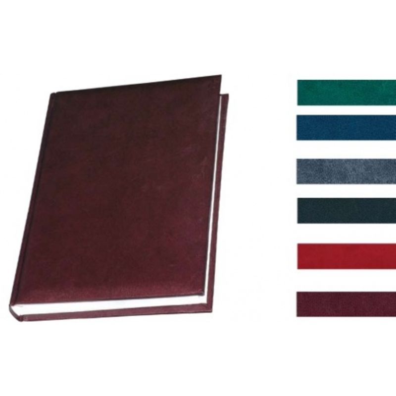 Щоденник A5 недат. Рапсодия 176л бордовий